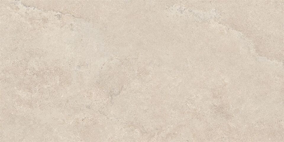 60X120 NATURALUX CROS D.GREIGE R10B 7R - K954952R0001VTSP | VitrA